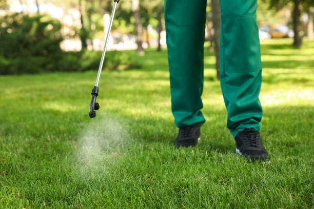 Indoor Pest Control in Frazier Park, CA